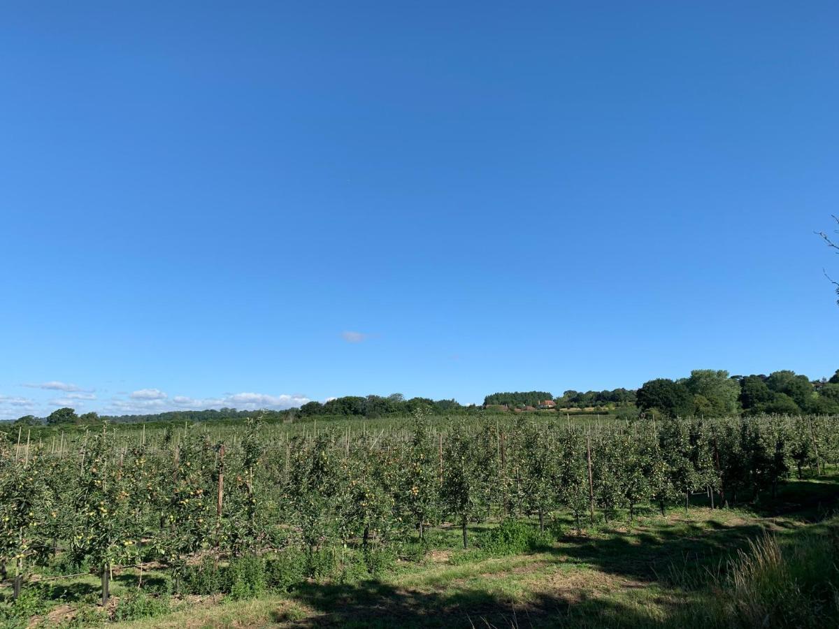 Blackberry Cottage Sutton Valence Luaran gambar